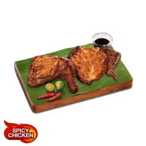 Spicy Paa & Pecho Buddy Size