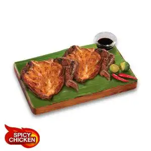 Spicy Pecho Large Buddy Size