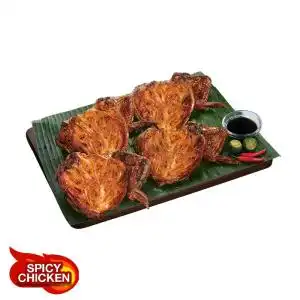 Spicy Pecho Large Family Size
